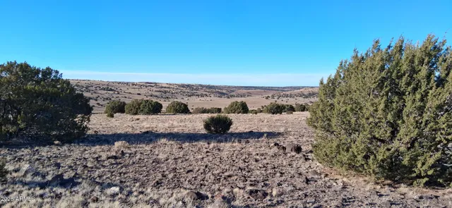 a view of a large building