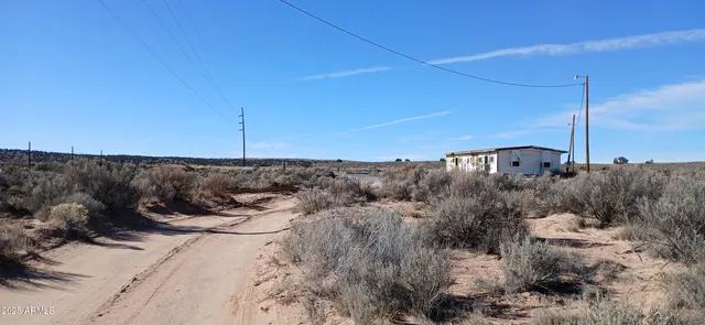 a view of a dry yard