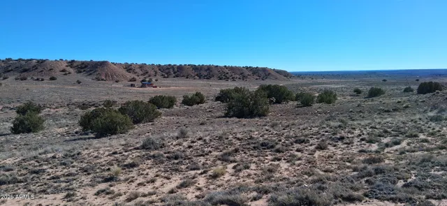 a view of a dry field with trees in the background