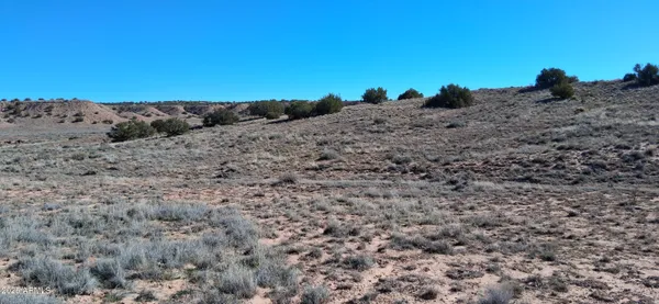 a view of a dry field