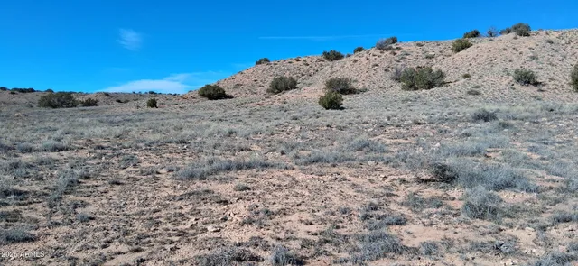 a view of a dry yard with wooden fence