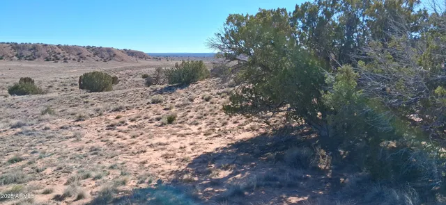 a view of a dry yard with mountains in the background