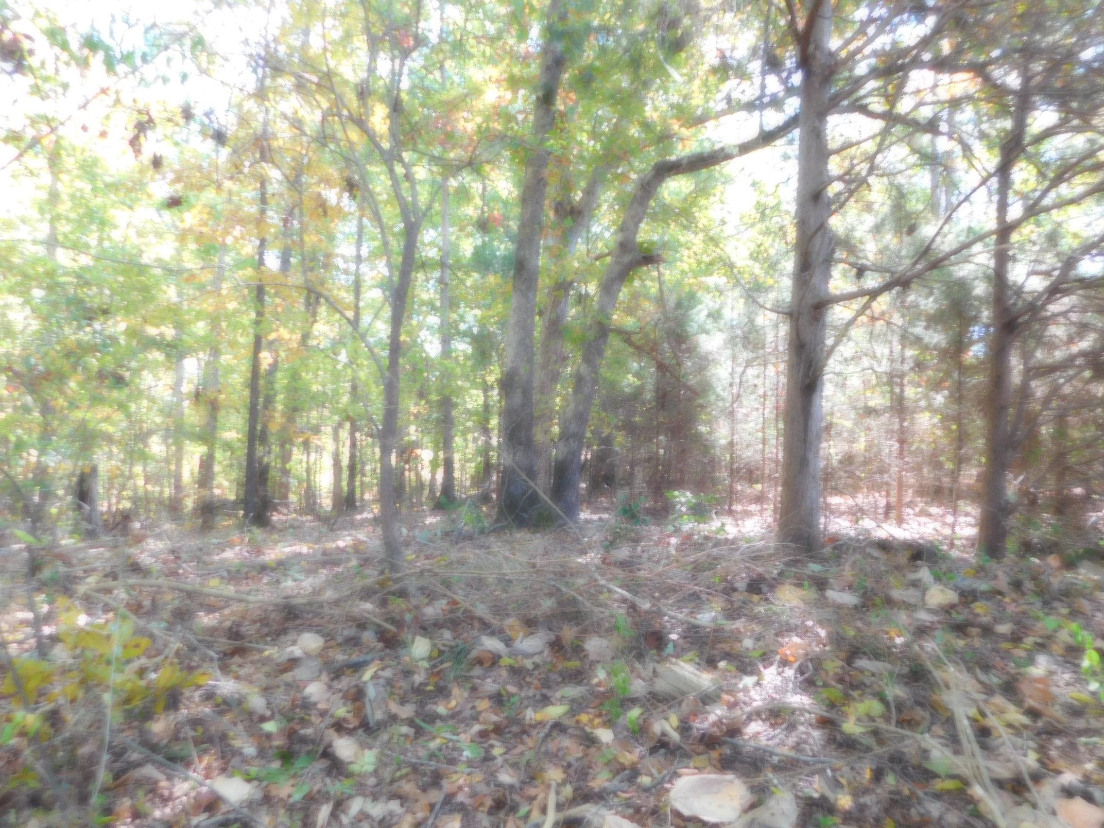 136 Country Club Road Gaffney, SC 29340 - Photo 25 of 25