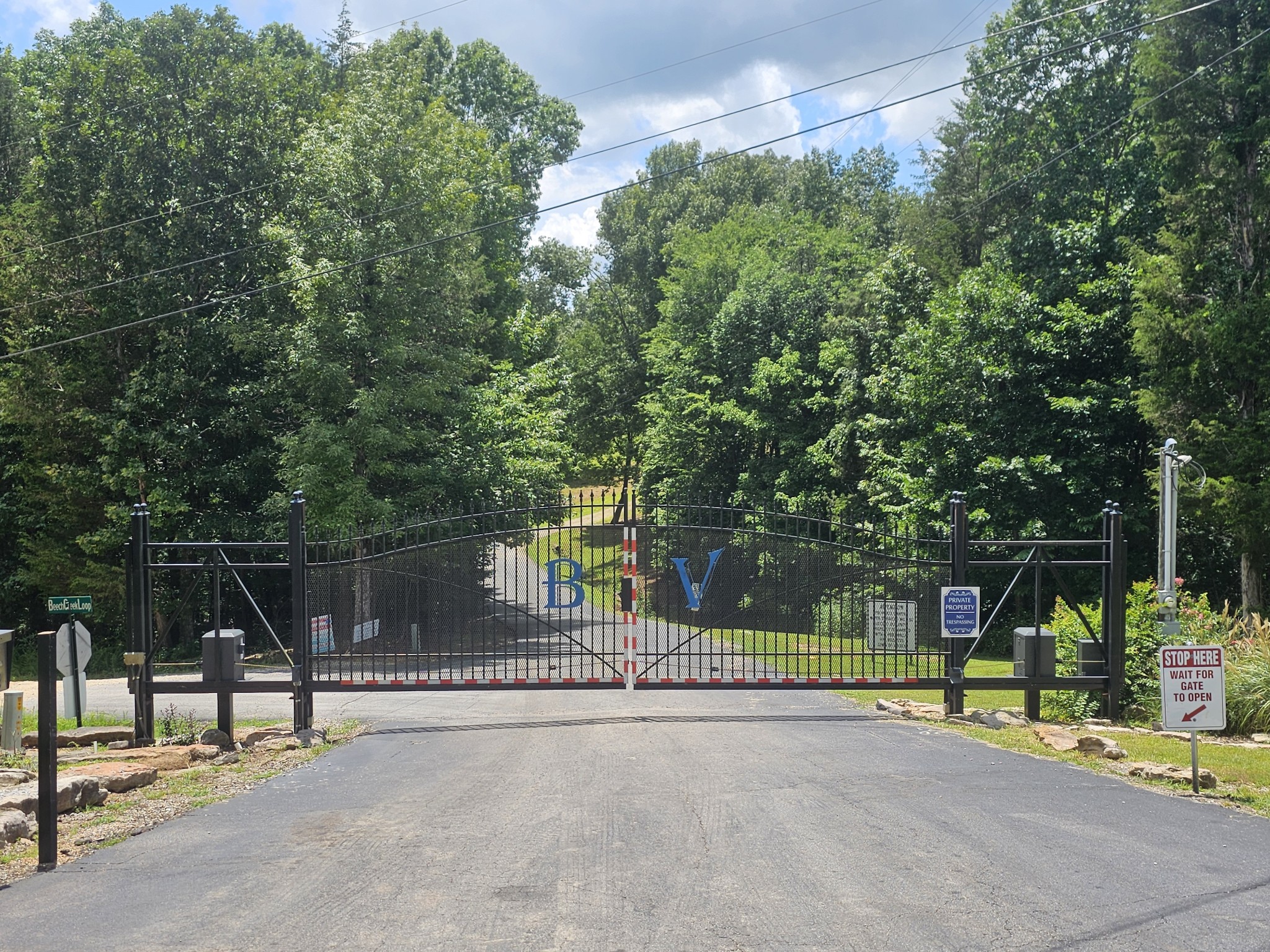 22 WC PICKETT Road Clifton, TN 38425 - Photo 8 of 10 a view of a park with large trees