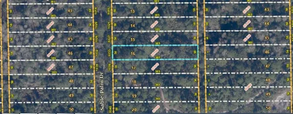 $60,400 | 1033 Sable Palm Drive, Christmas, FL 32709