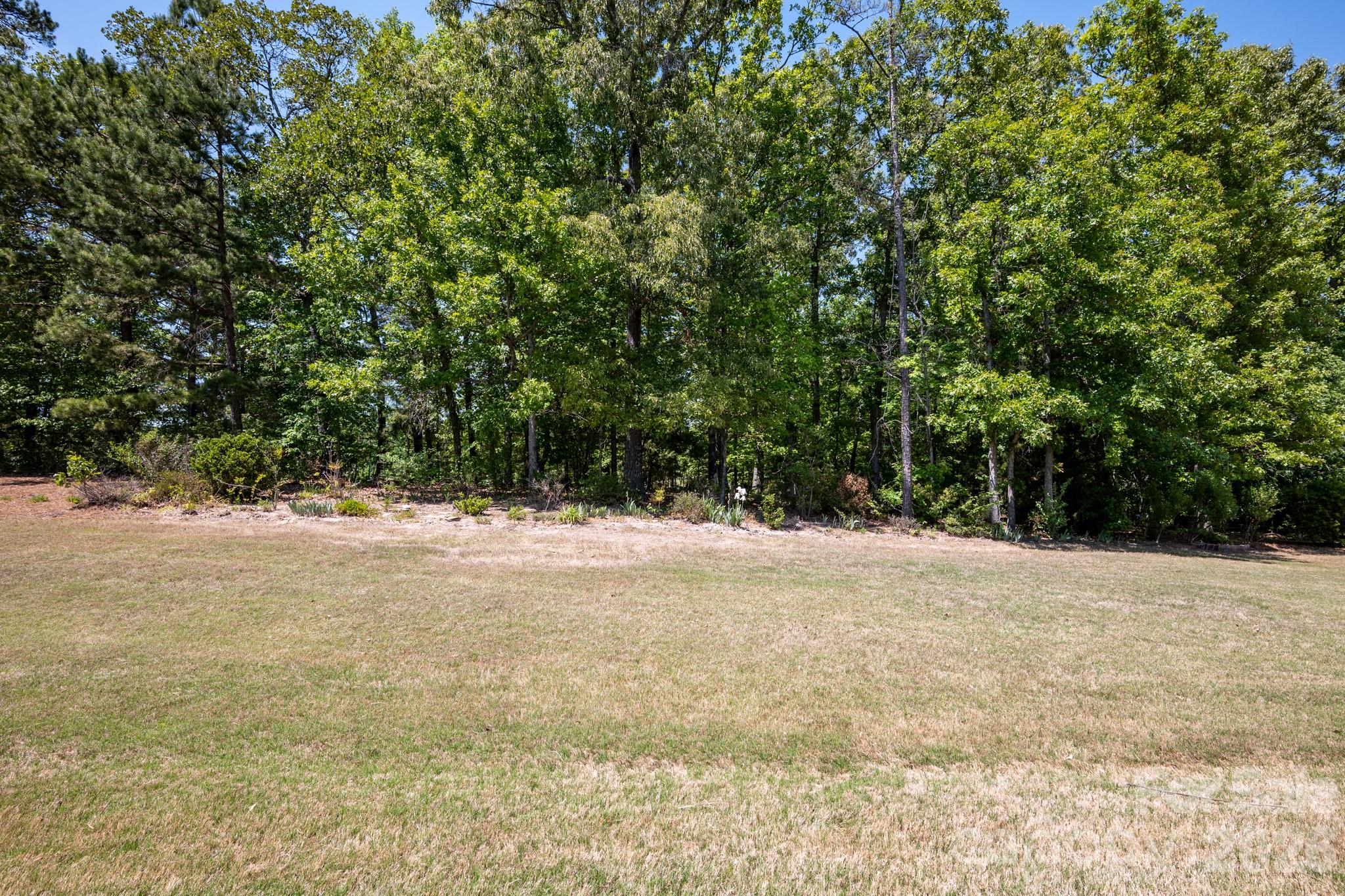 2818 Mandarin Street Fort Mill, SC 29707 - Photo 37 of 48 a view of empty field with trees