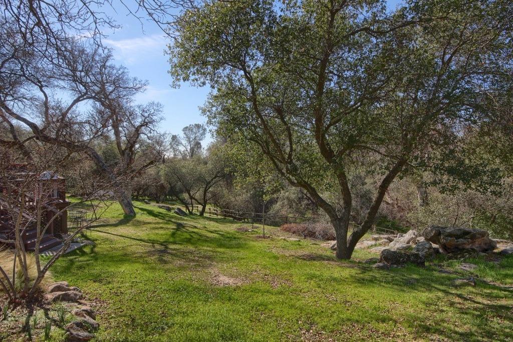 32510 Sunset Ridge Road East Coarsegold, CA 93614 - Photo 30 of 39 Gallery Image 30