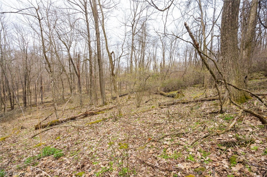 71 Township Road Killbuck, OH 44637 - Photo 17 of 39