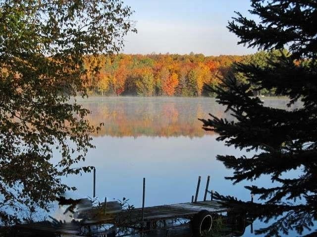 N8998 Little Beaver Road Tomahawk, WI 54487 - Photo 16 of 16 Gallery Image 16