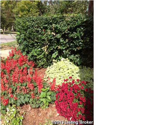 1236 Lexington Road, Unit 203 Louisville, KY 40206 - Photo 2 of 14 Additional Photo