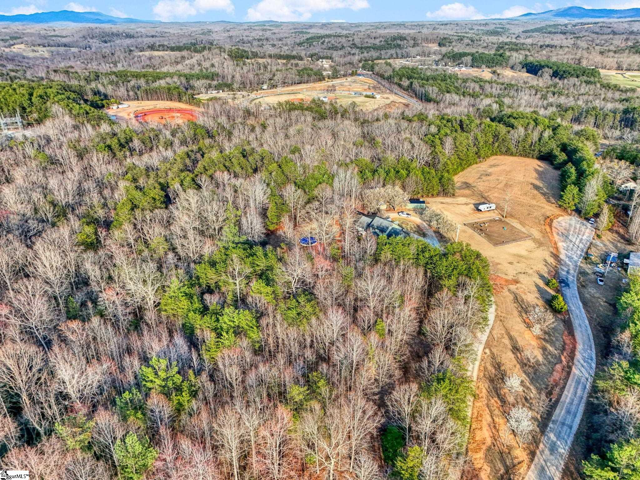 0 Cribbs Way Easley, SC 29640 - Photo 11 of 19