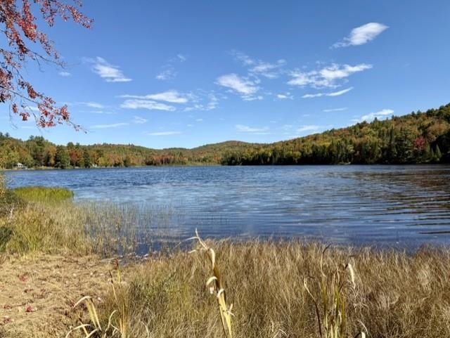 1190 Streeter Pond Road Sugar Hill, NH 03586 - Photo 44 of 60 Gallery Image 44