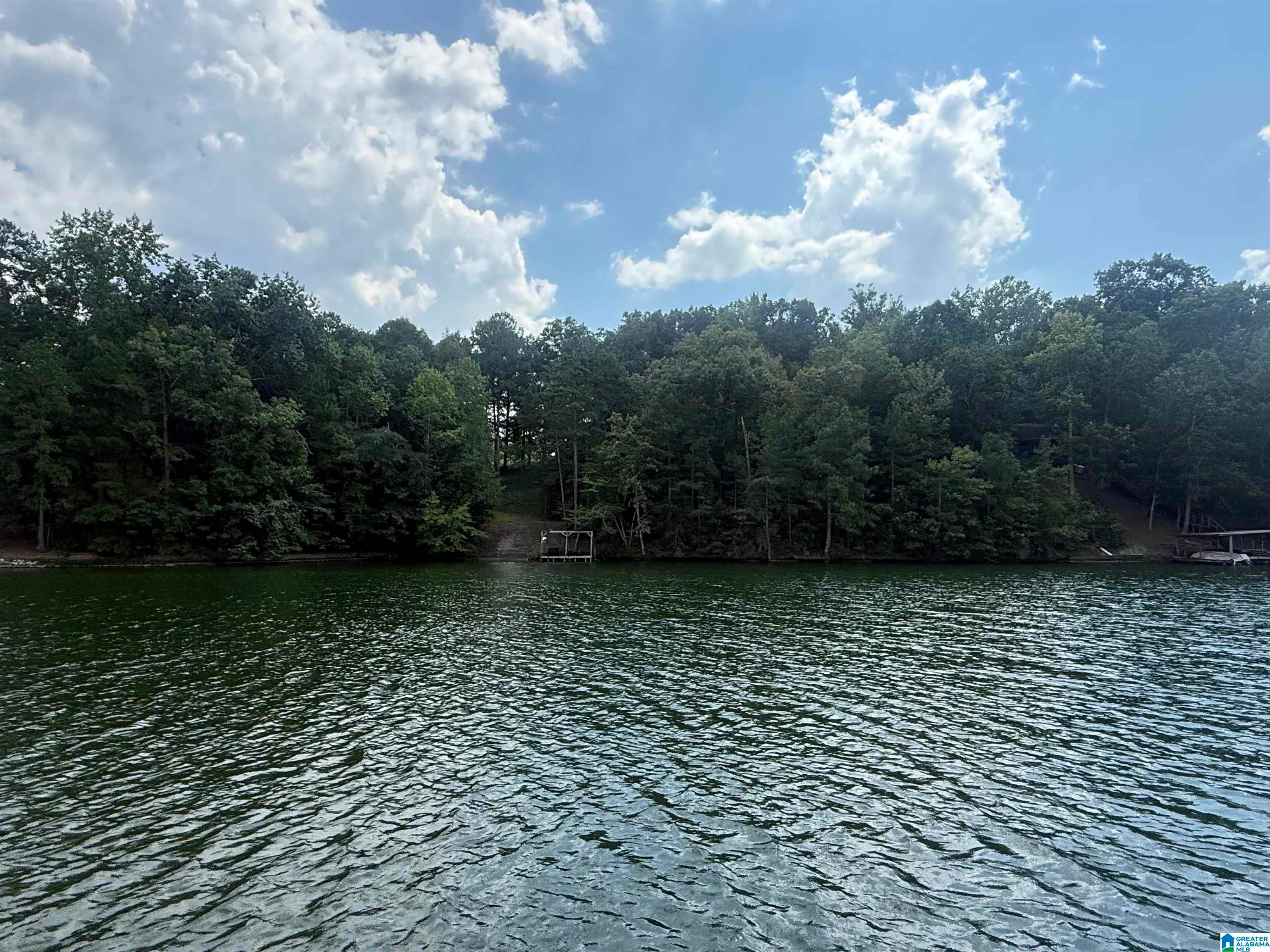 385 Holloway Road Wedowee, AL 36278 - Photo 11 of 17 Gallery Image 11