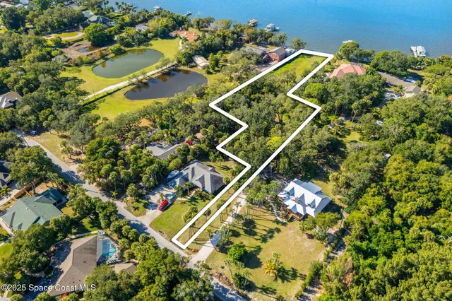 view of a large tree