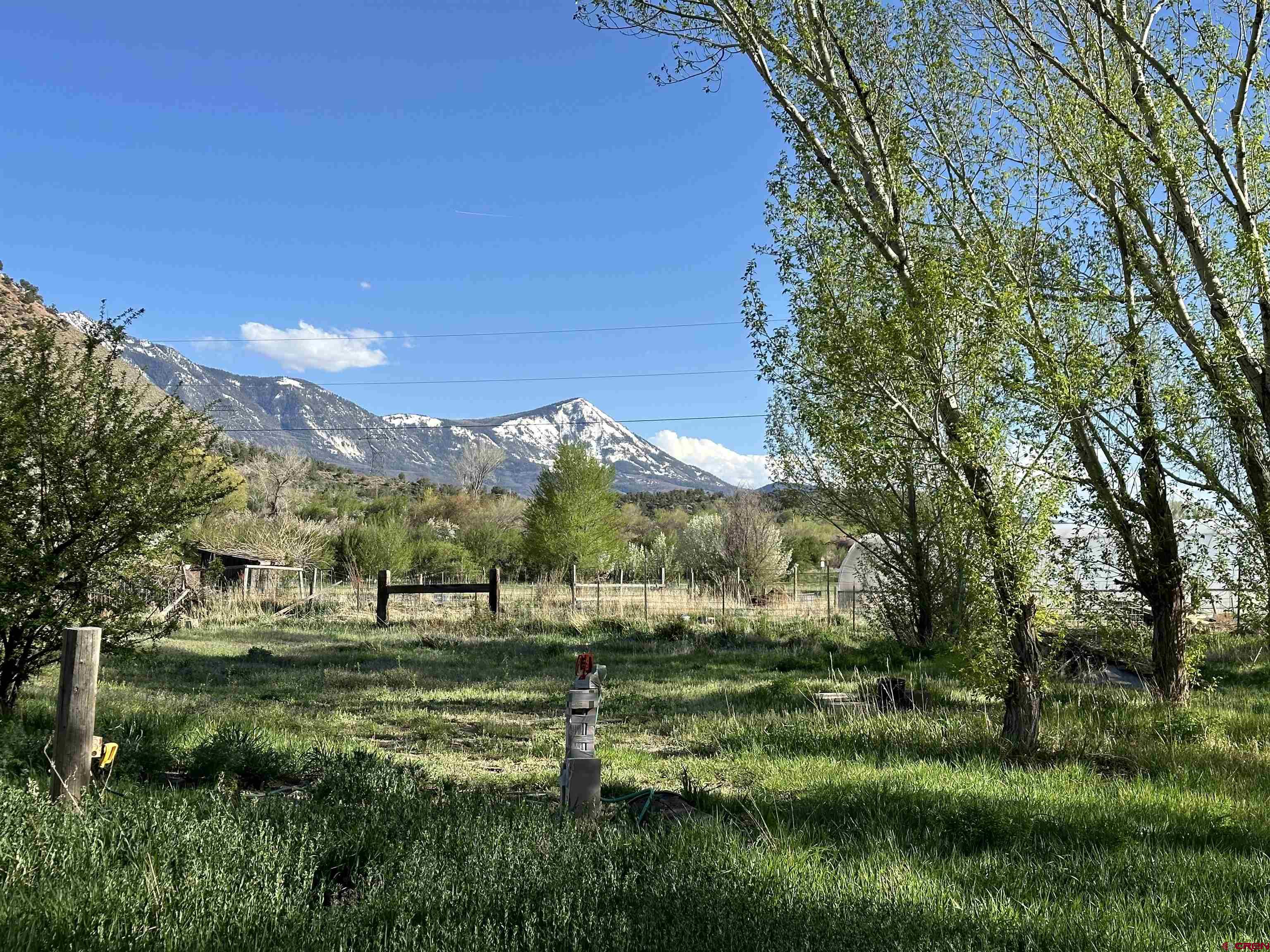 16459 Grange Road Paonia, CO 81428 - Photo 21 of 31 a view of grassy field with trees