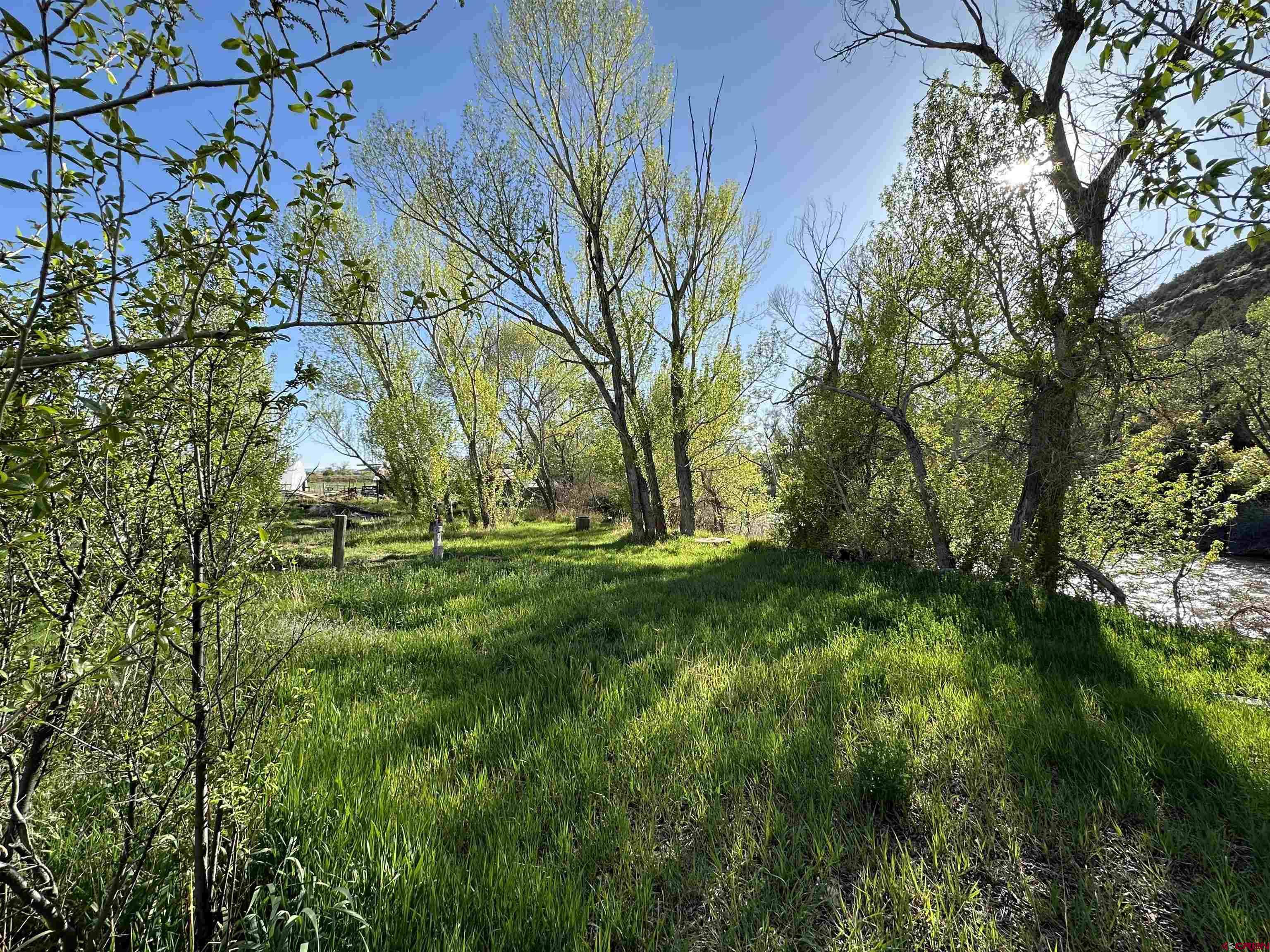 16459 Grange Road Paonia, CO 81428 - Photo 22 of 31 a view of yard with green space