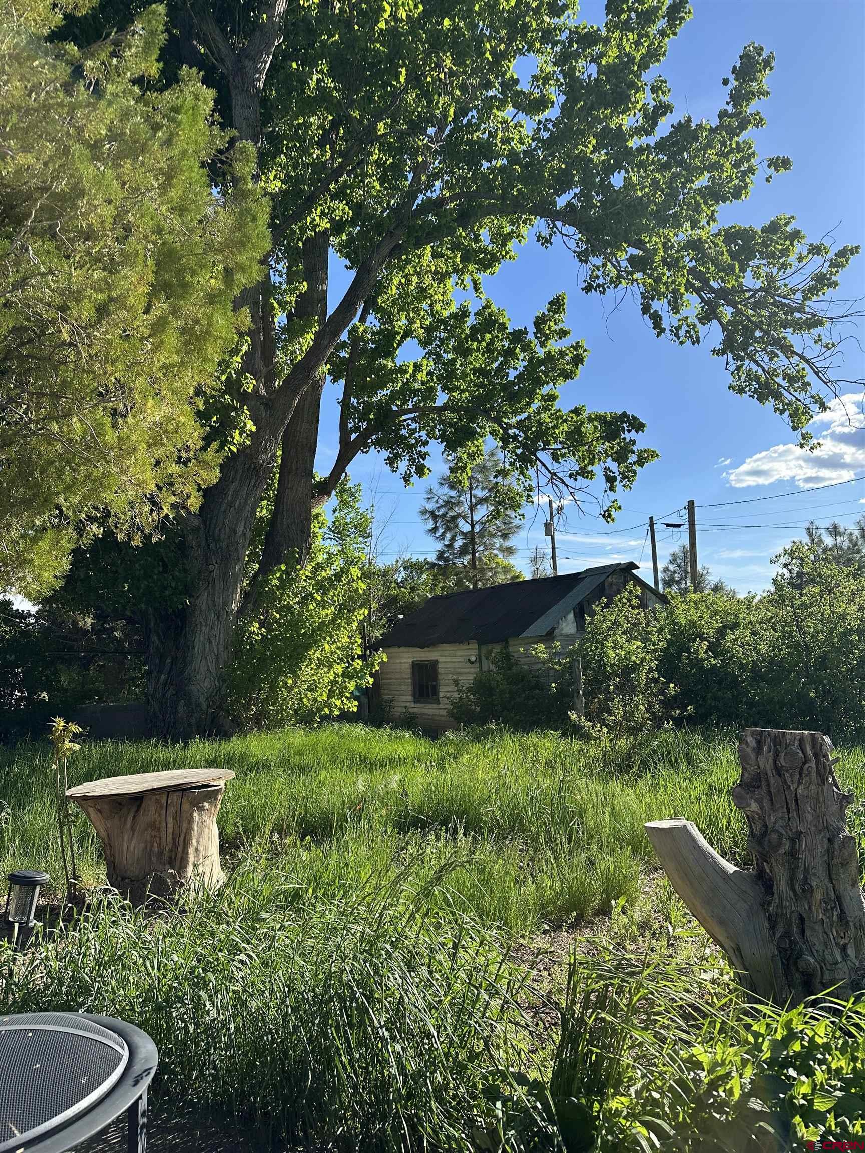 16459 Grange Road Paonia, CO 81428 - Photo 29 of 31 a view of a garden with plants