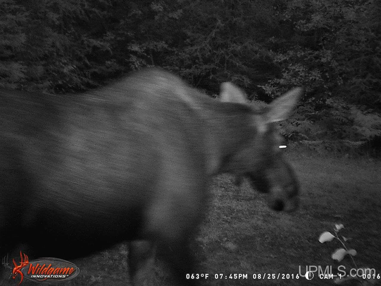 8878 Co Road Republic, MI 49879 - Photo 32 of 34