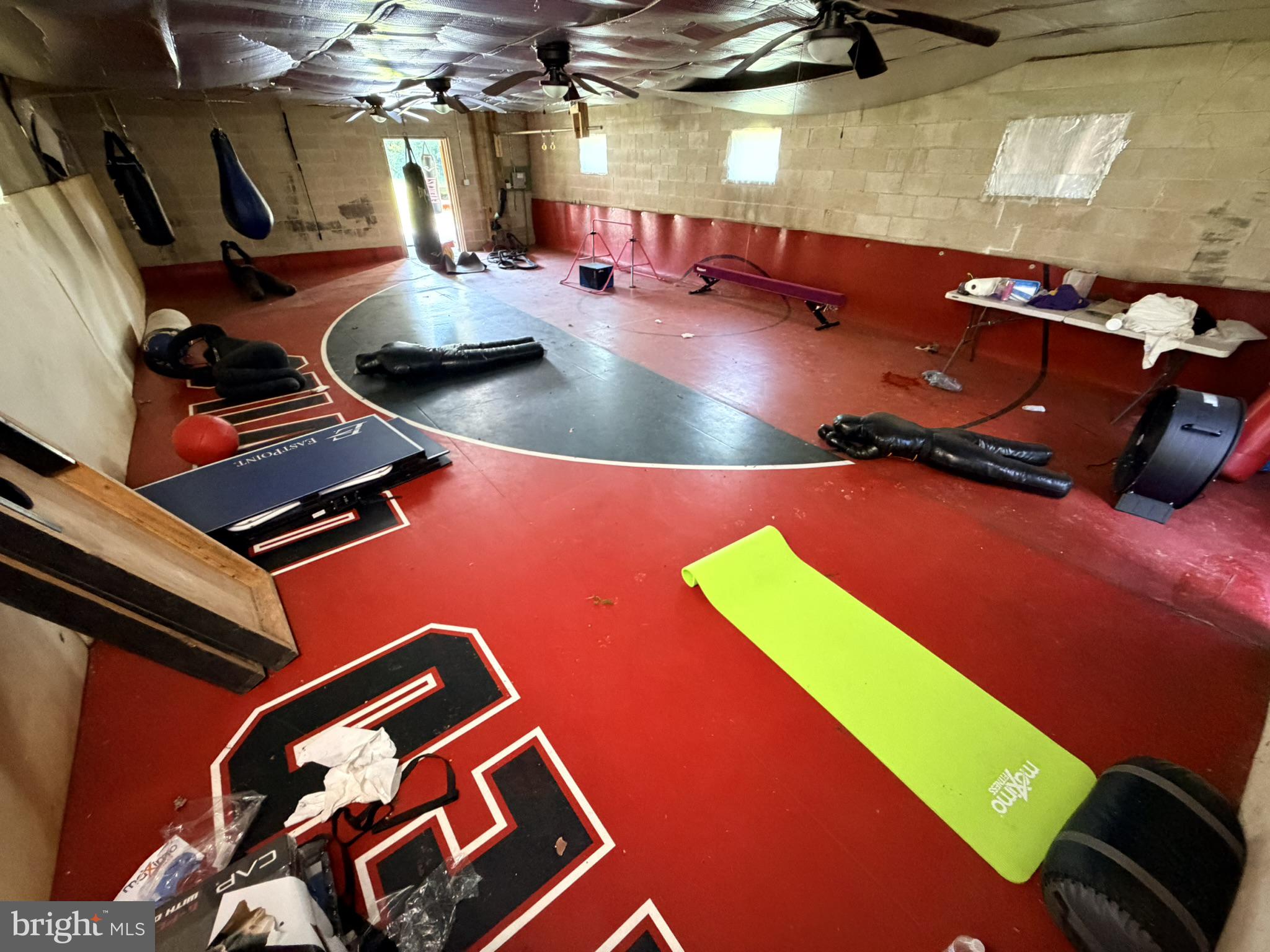 586 Zeitler Road Elkton, MD 21921 - Photo 44 of 55 Home gym with vibrant workout space.