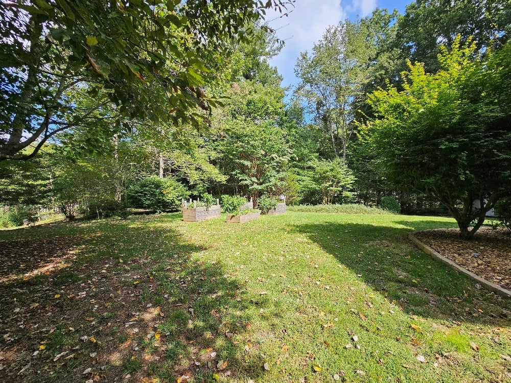 402 Spring Hollow Road Marion, VA 24354 - Photo 14 of 48 Gallery Image 14