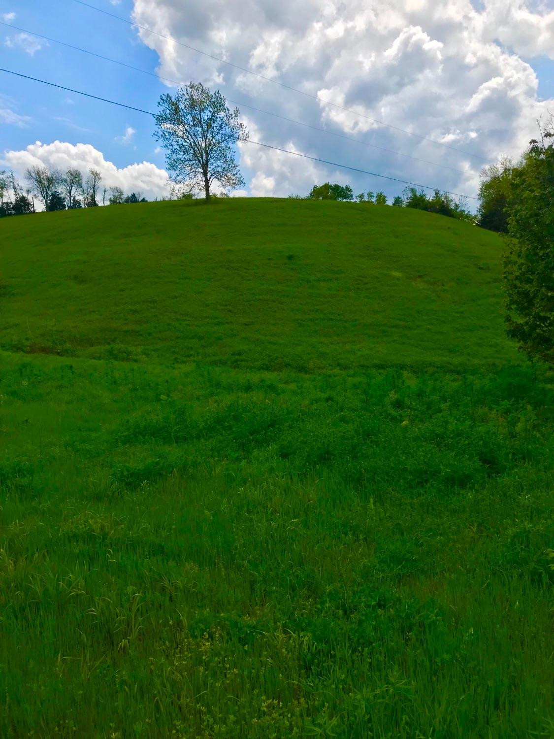1 Rooster Run Road Owingsville, KY 40360 - Photo 1 of 4 Photo 1