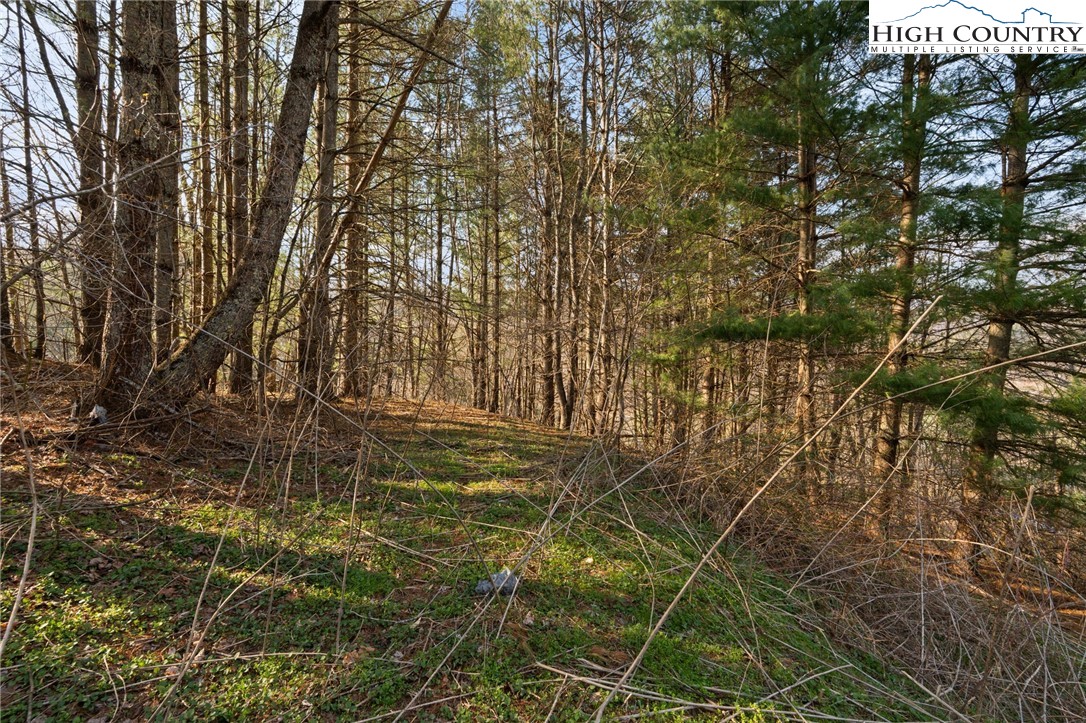 Lot 9 Oak Green Road Warrensville, NC 28693 - Photo 11 of 22