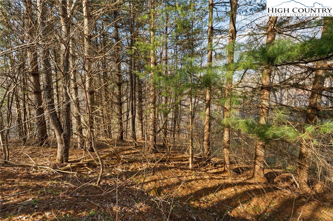 Lot 9 Oak Green Road Warrensville, NC 28693 - Photo 12 of 22