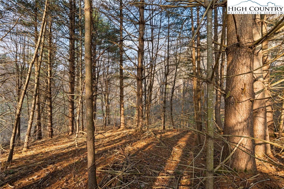 Lot 9 Oak Green Road Warrensville, NC 28693 - Photo 13 of 22