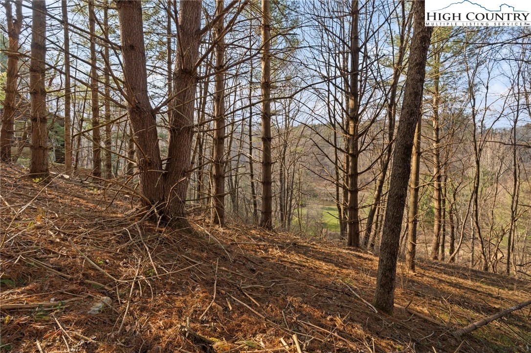Lot 9 Oak Green Road Warrensville, NC 28693 - Photo 14 of 22