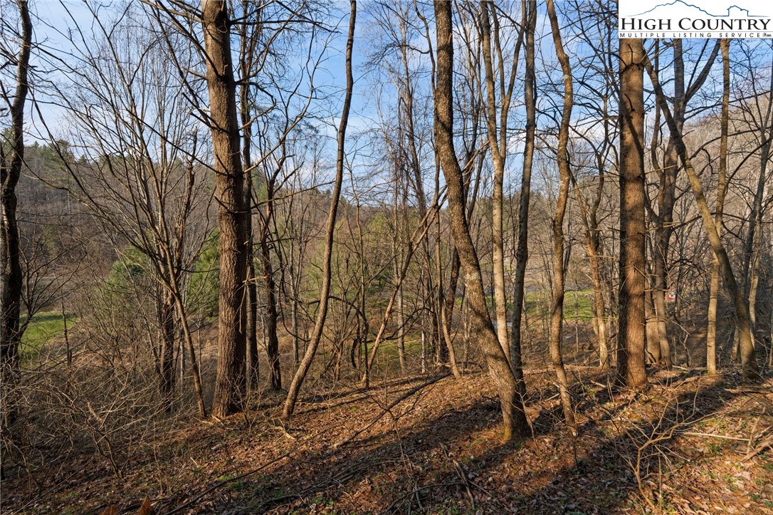 Lot 9 Oak Green Road Warrensville, NC 28693 - Photo 15 of 22