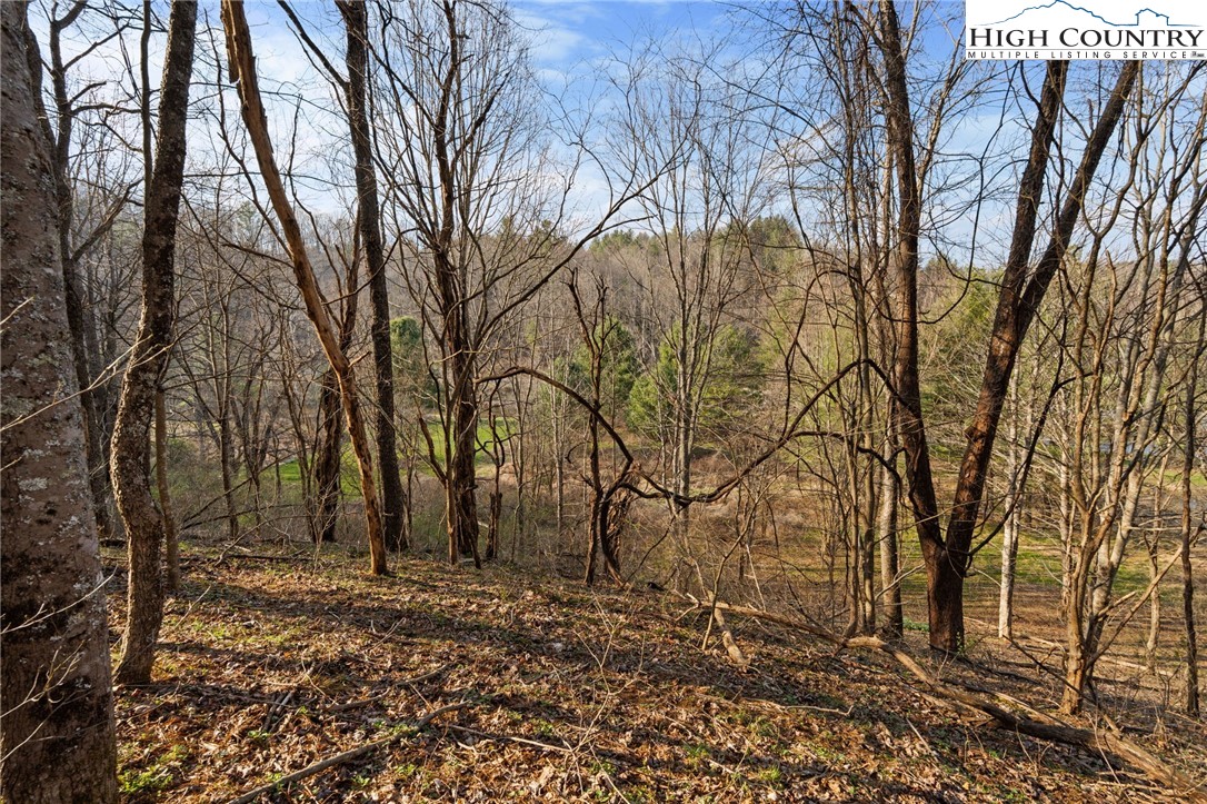 Lot 9 Oak Green Road Warrensville, NC 28693 - Photo 16 of 22