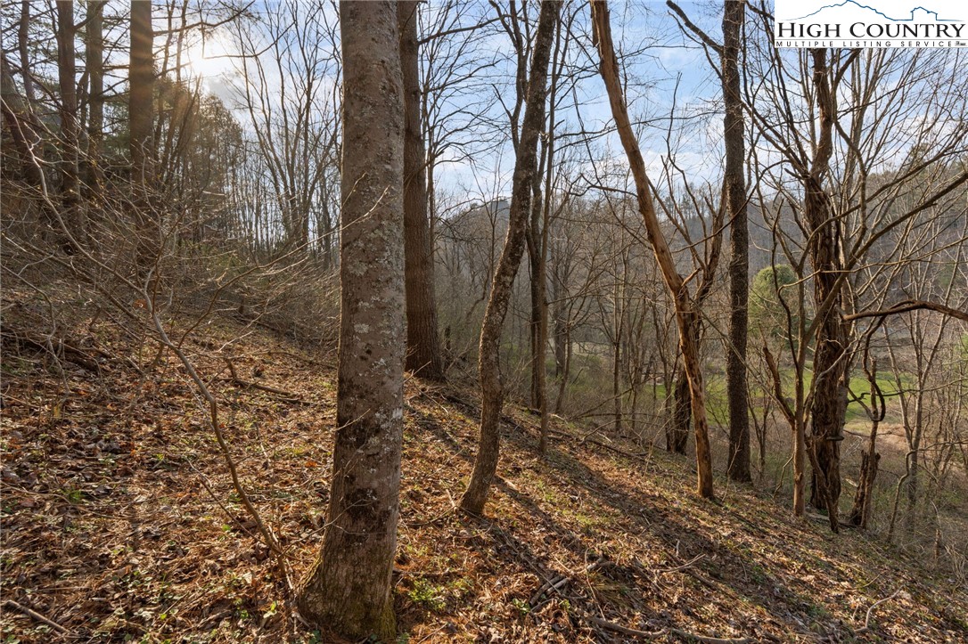 Lot 9 Oak Green Road Warrensville, NC 28693 - Photo 17 of 22