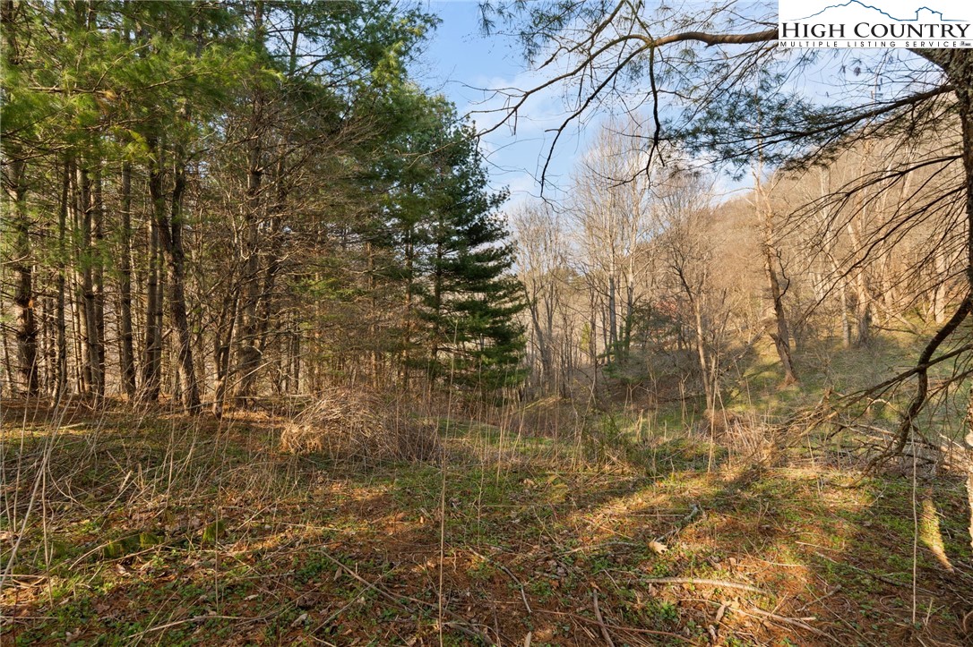 Lot 9 Oak Green Road Warrensville, NC 28693 - Photo 18 of 22