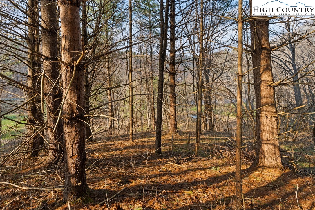 Lot 9 Oak Green Road Warrensville, NC 28693 - Photo 2 of 22