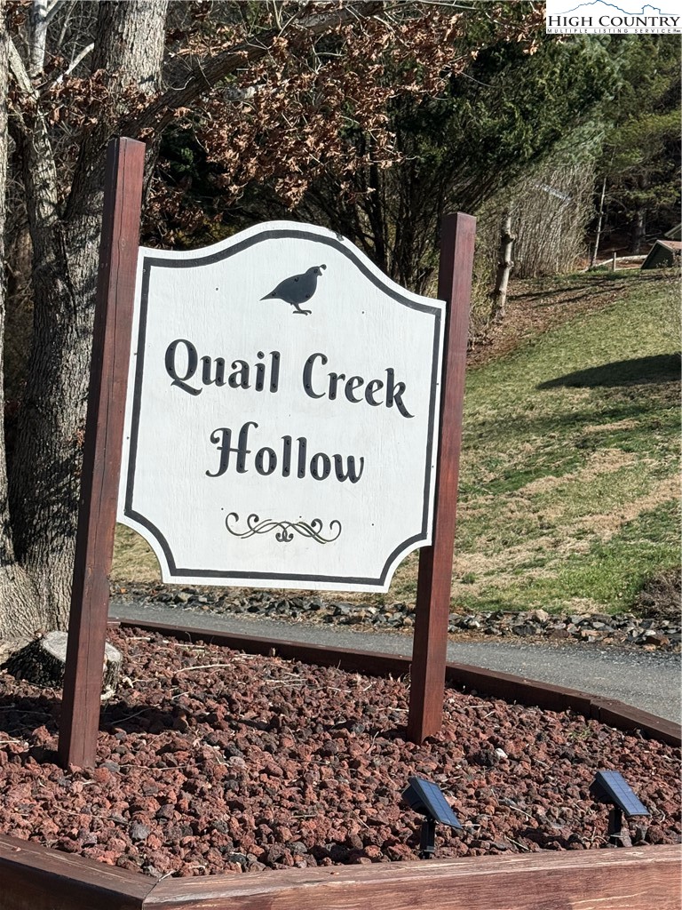 Lot 9 Oak Green Road Warrensville, NC 28693 - Photo 4 of 22