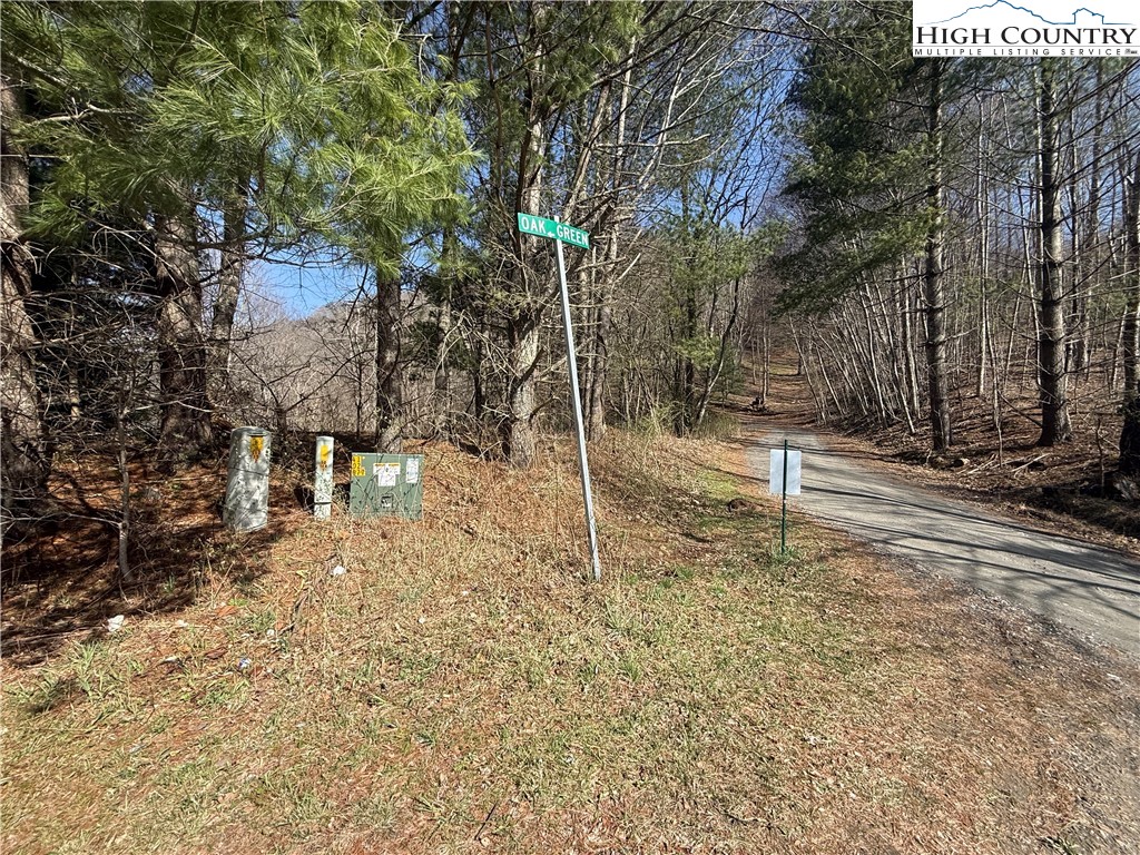 Lot 9 Oak Green Road Warrensville, NC 28693 - Photo 5 of 22