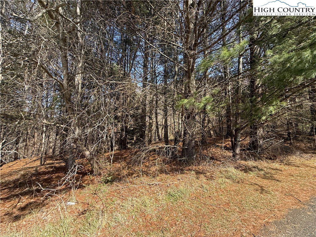 Lot 9 Oak Green Road Warrensville, NC 28693 - Photo 6 of 22