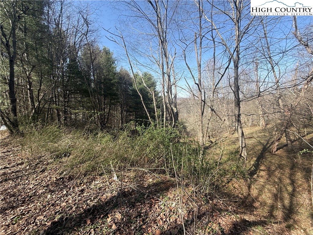 Lot 9 Oak Green Road Warrensville, NC 28693 - Photo 7 of 22