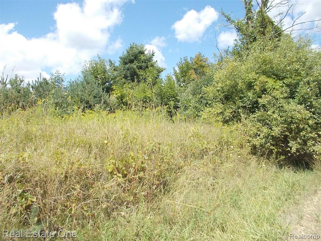 0 North Lake George Road Oakland, MI 48363 - Photo 39 of 55
