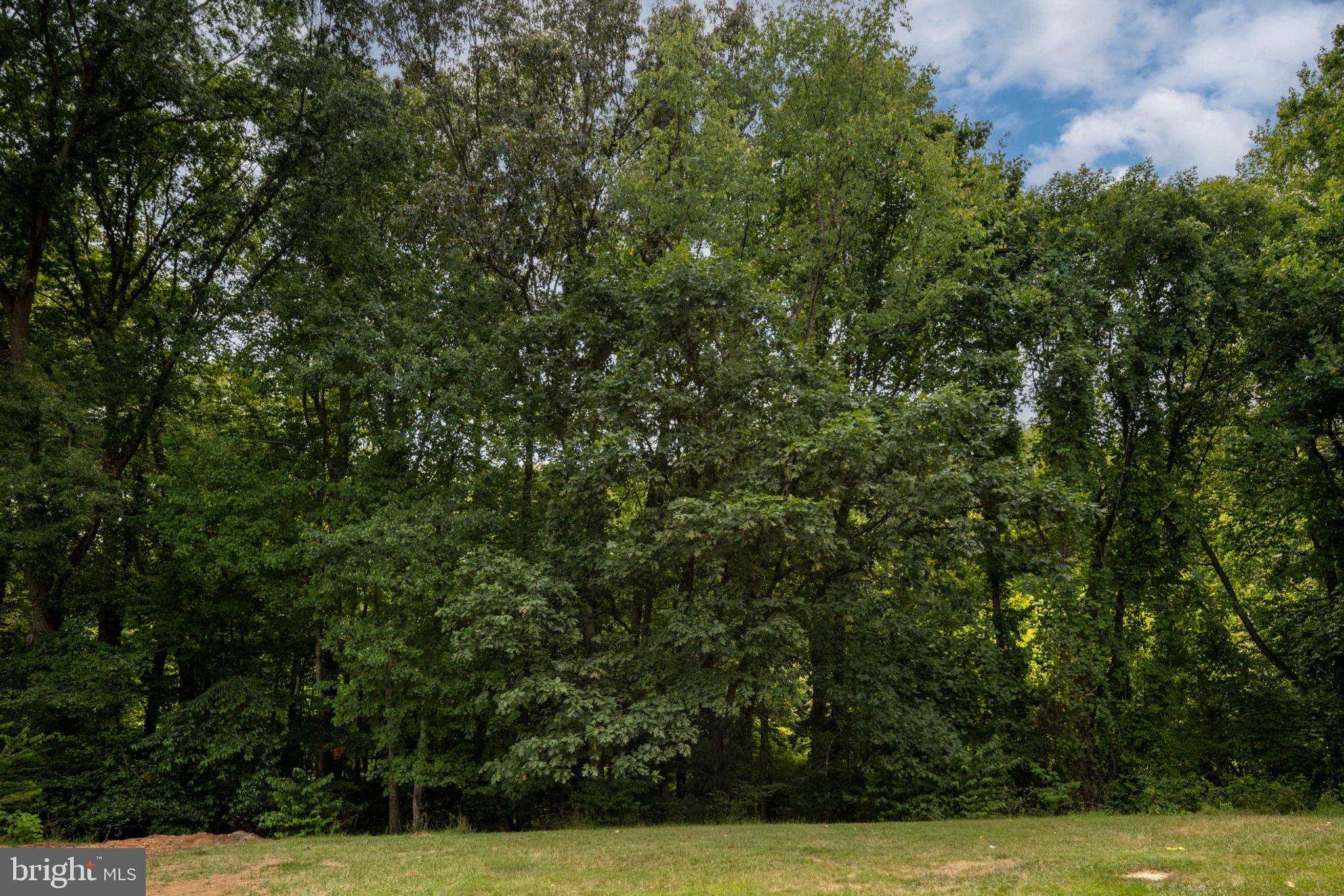 11659 Stoneview Square, Unit 11C Reston, VA 20191 - Photo 45 of 50 a view of a yard