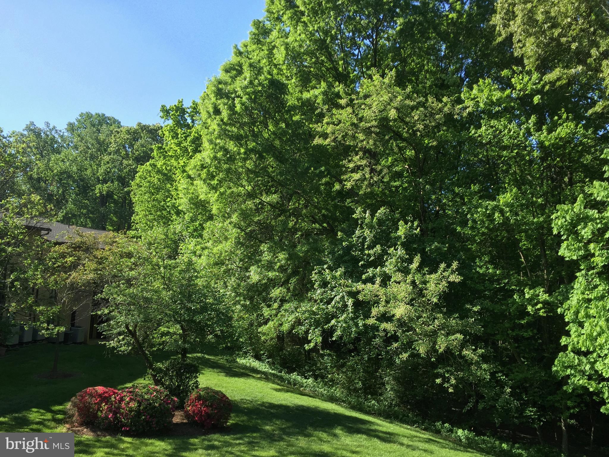 11659 Stoneview Square, Unit 11C Reston, VA 20191 - Photo 47 of 50 a view of a garden with a tree