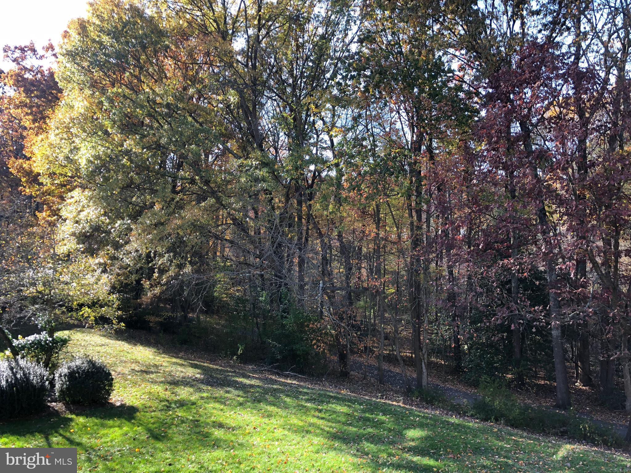 11659 Stoneview Square, Unit 11C Reston, VA 20191 - Photo 48 of 50 a backyard of a house with lots of green space