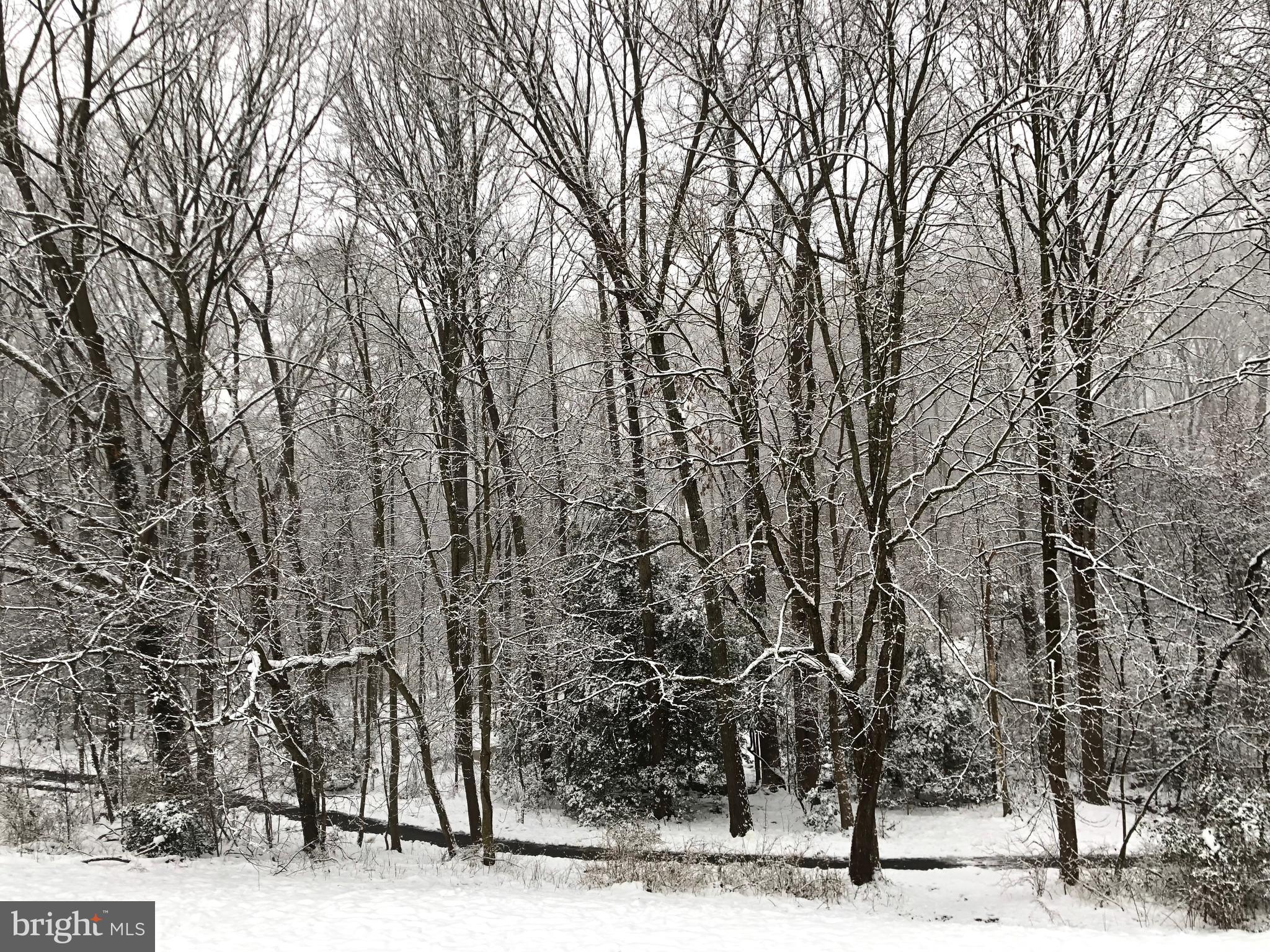 11659 Stoneview Square, Unit 11C Reston, VA 20191 - Photo 50 of 50 a view of a yard with trees