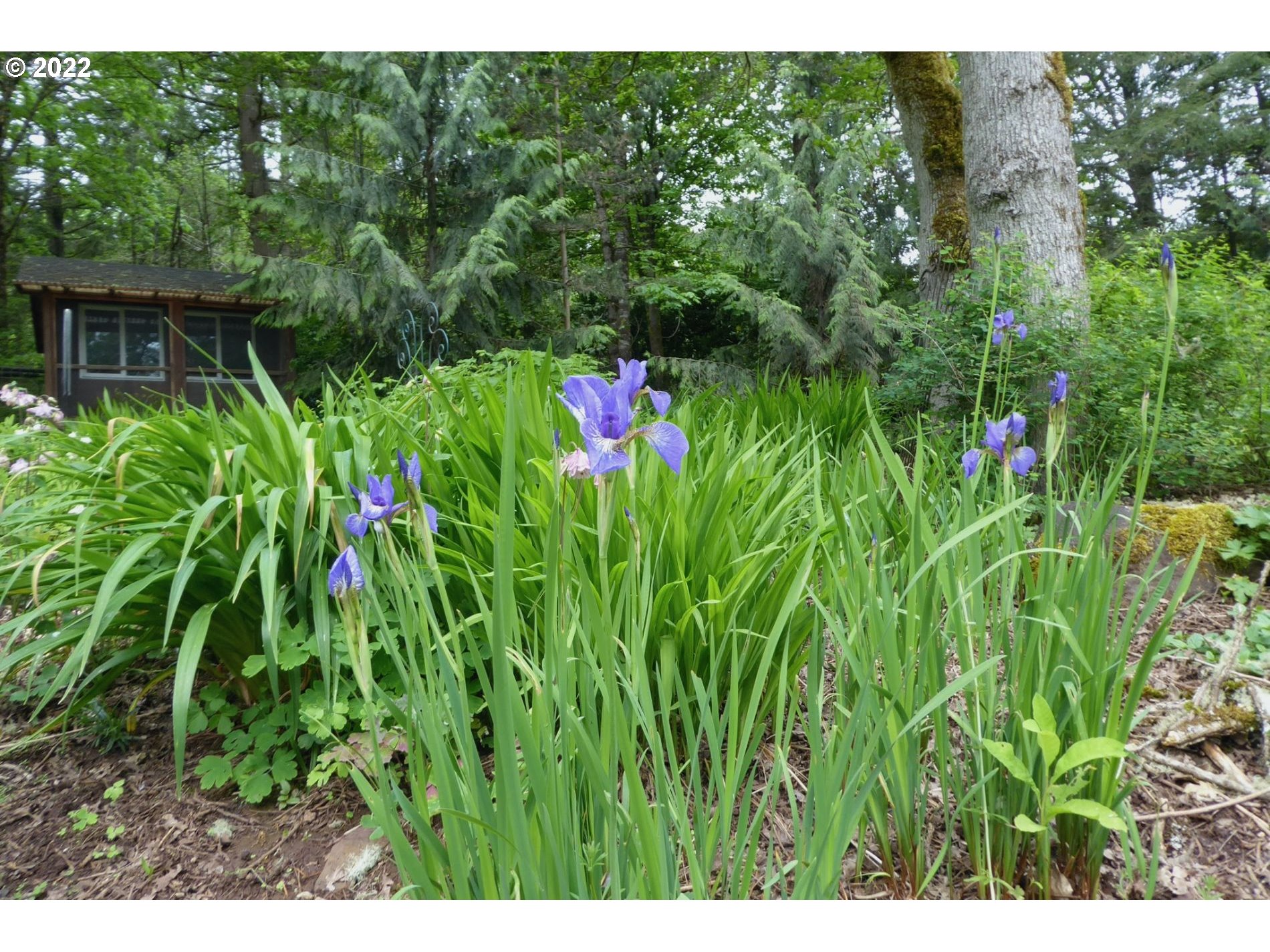 39930 Place Road Fall Creek, OR 97438 - Photo 15 of 16