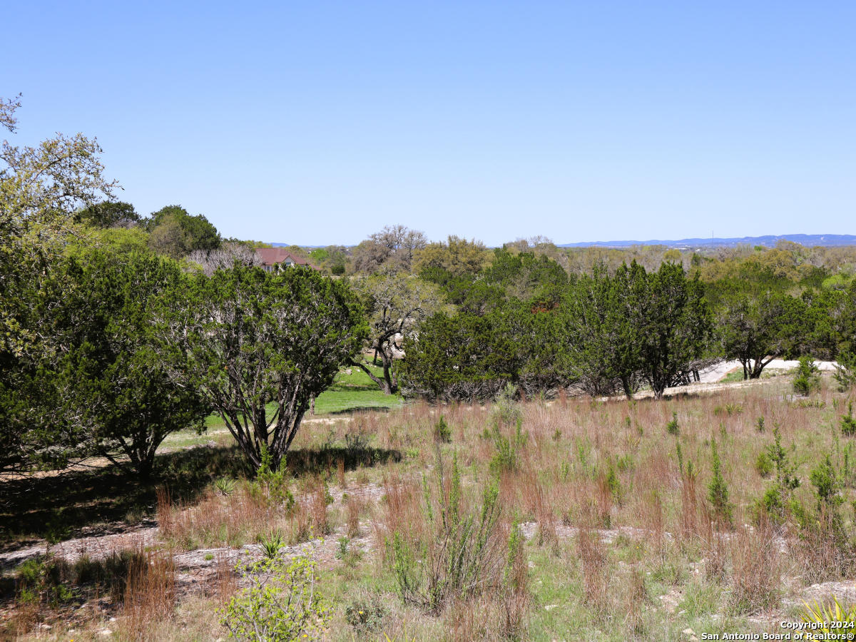Lot 767 Hager Ridge Bandera, TX 78003 - Photo 15 of 32 a view of a yard with a tree