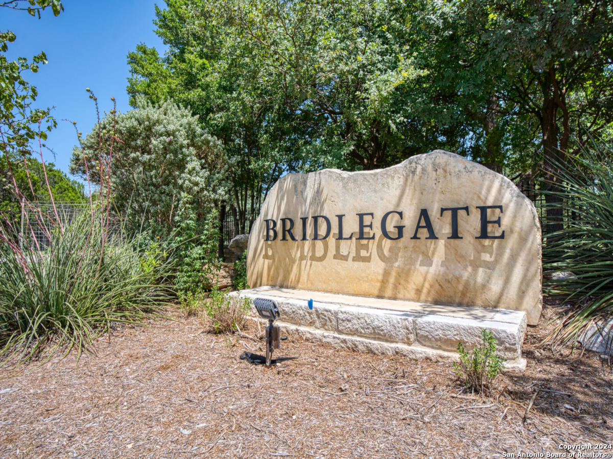 Lot 767 Hager Ridge Bandera, TX 78003 - Photo 32 of 32 a view of a park with large trees