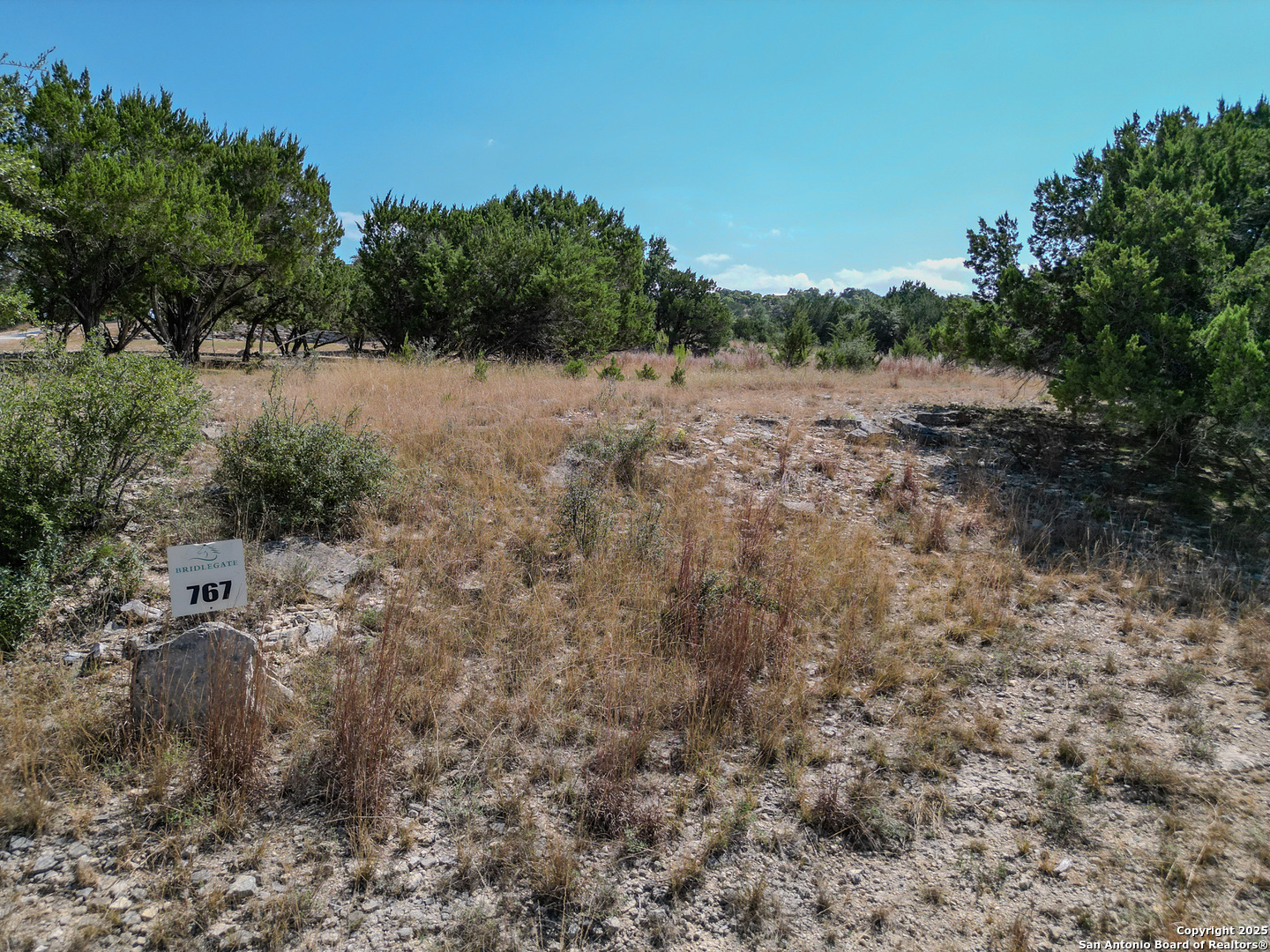 Lot 767 Hager Ridge Bandera, TX 78003 - Photo 8 of 32 a view of a covered with trees in a field