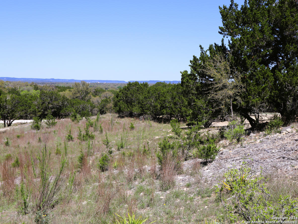 Lot 767 Hager Ridge Bandera, TX 78003 - Photo 10 of 32 a view of a yard with a tree