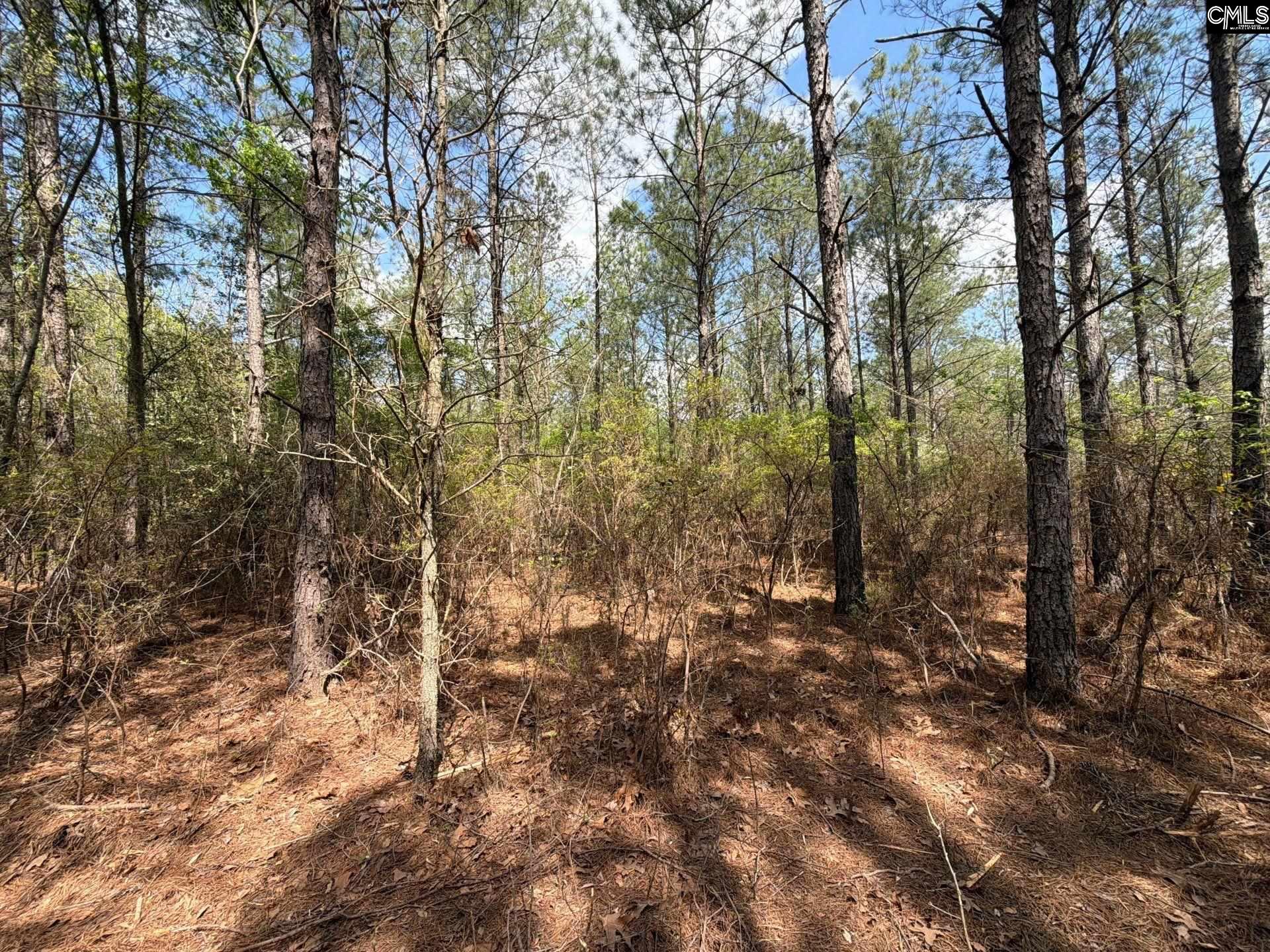 3 Mt Calvary Rd Ridge Spring Ridge Spring, SC 29129 - Photo 20 of 27