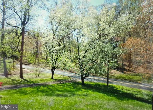 a view of yard with trees